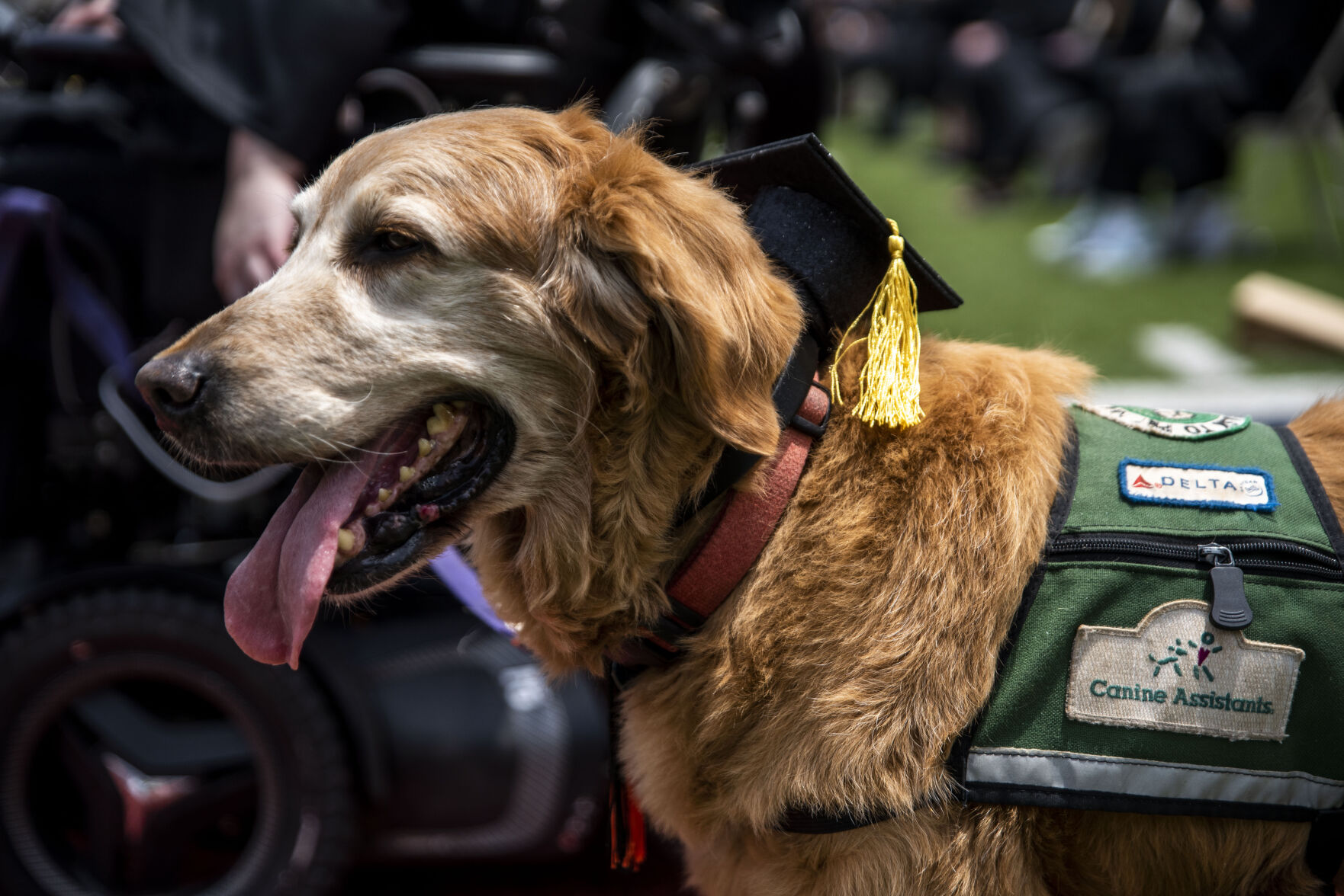 Grad Caps